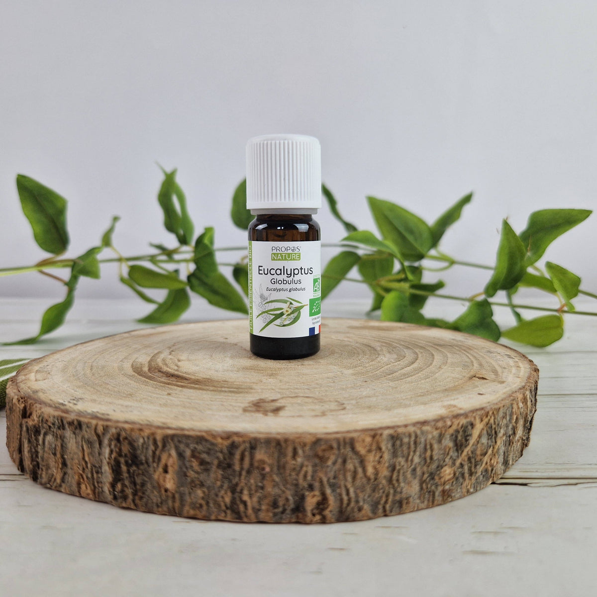 Aceite Esencial Orgánico de Eucalyptus globulus 10 ml