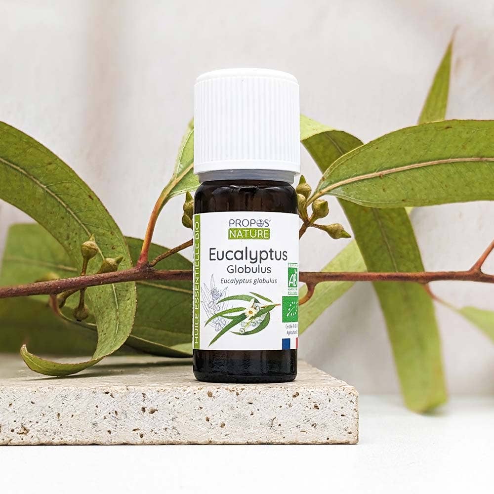 Aceite Esencial Orgánico de Eucalyptus globulus 10 ml