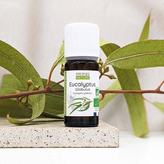 Aceite Esencial Orgánico de Eucalyptus globulus 10 ml