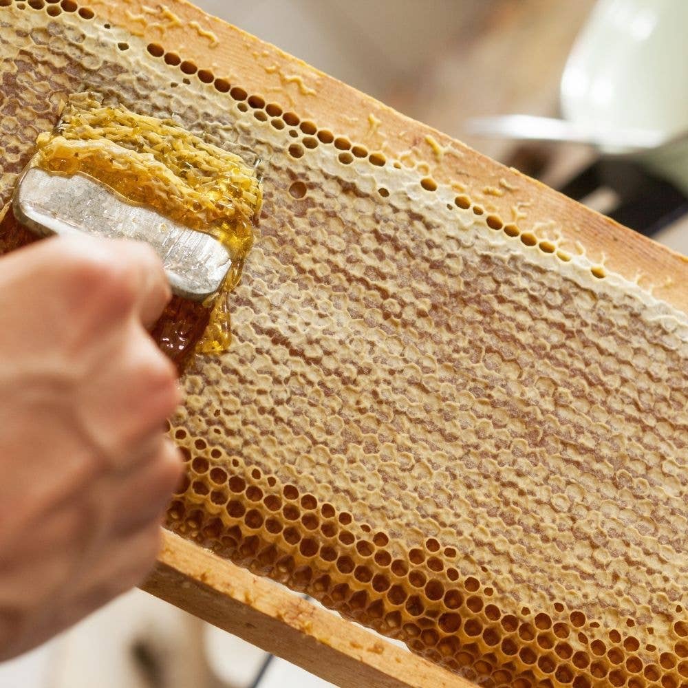 L'Abellamel Miel Con Panal De 250g