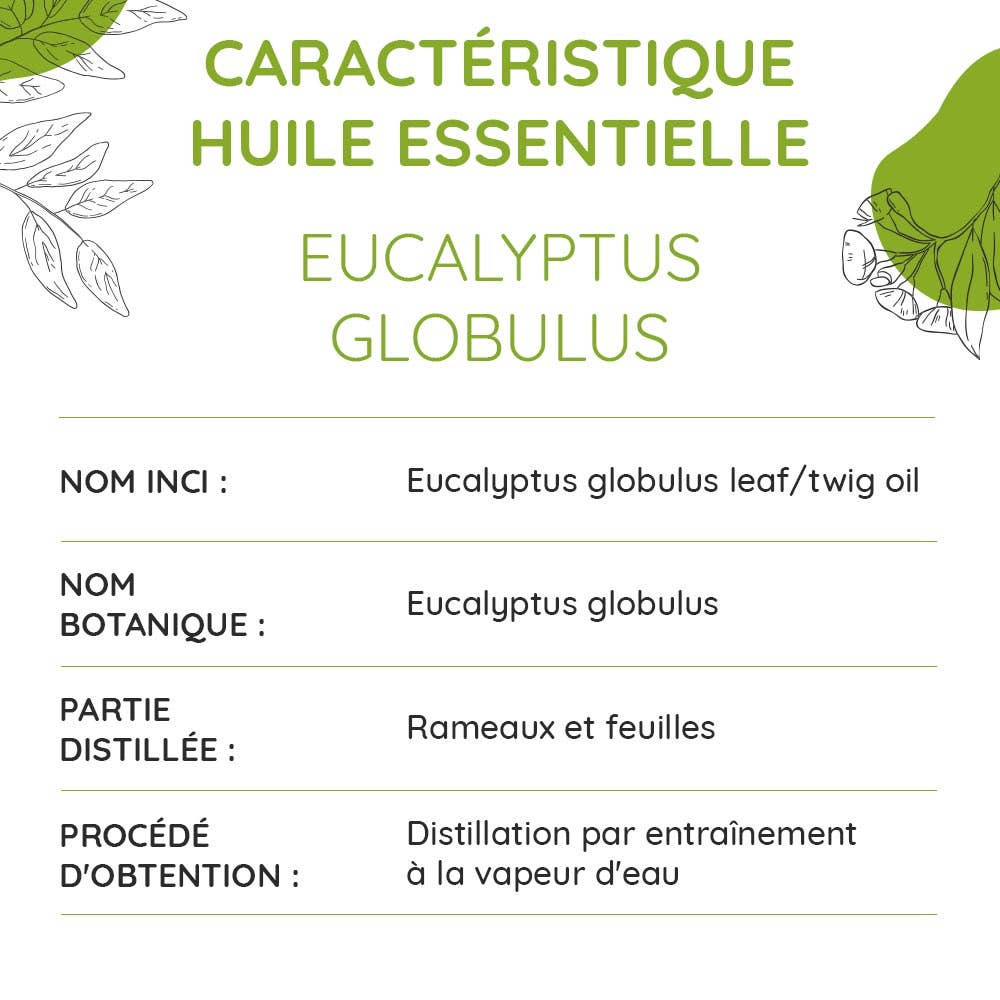 Aceite Esencial Orgánico de Eucalyptus globulus 10 ml