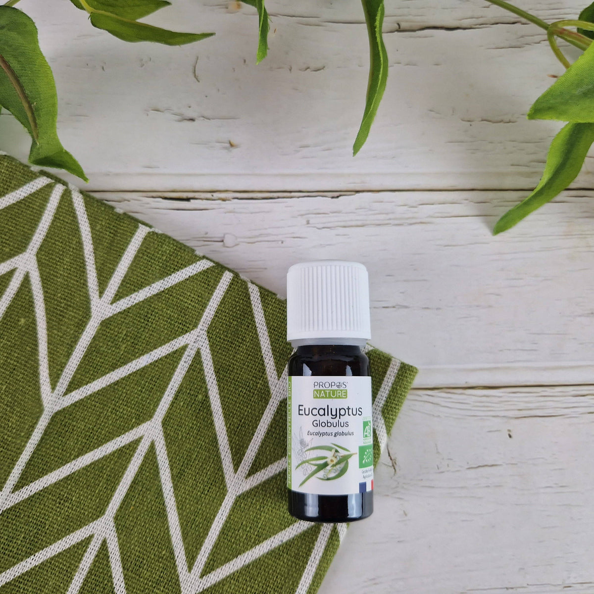 Aceite Esencial Orgánico de Eucalyptus globulus 10 ml