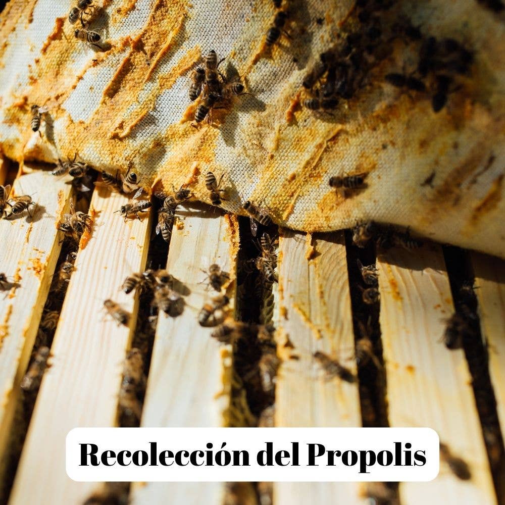 L'Abellamel Honey with Propolis 400G