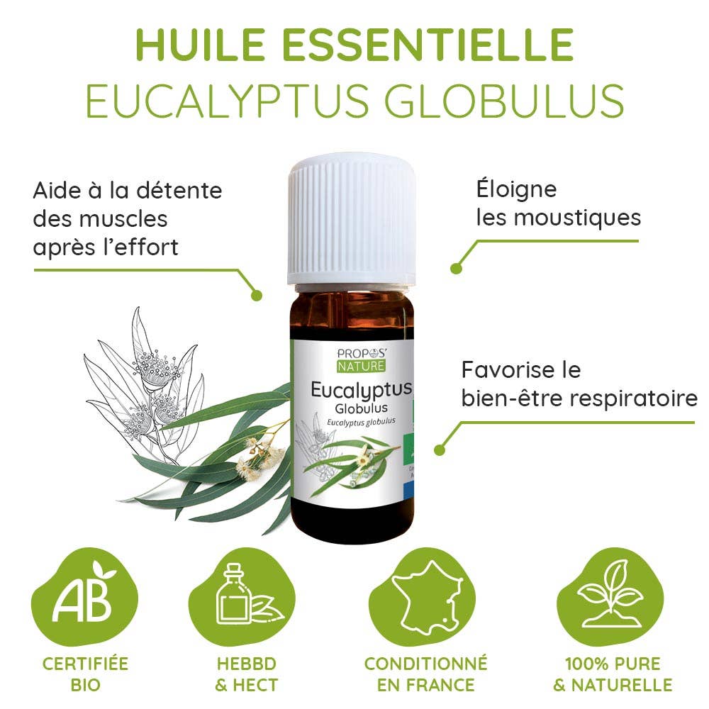 Aceite Esencial Orgánico de Eucalyptus globulus 10 ml