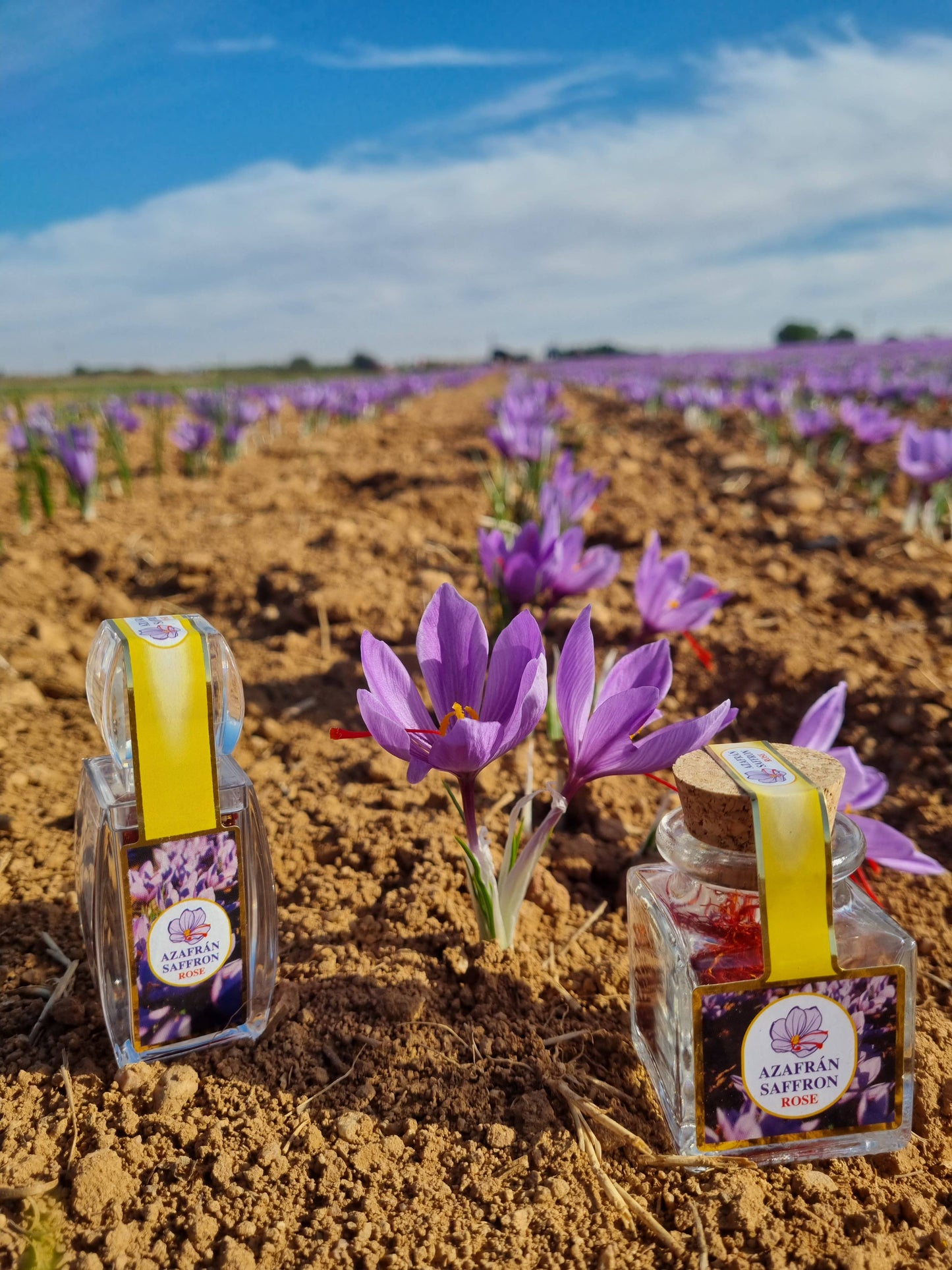 Select saffron thread. 1g cork glass jar.